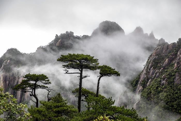 雨中三清山云遮雾绕如水墨画