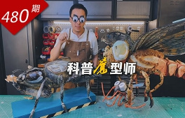 玩物立志系列：科普魔型师